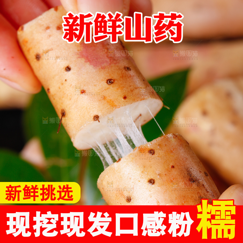手里拿着小白嘴山药