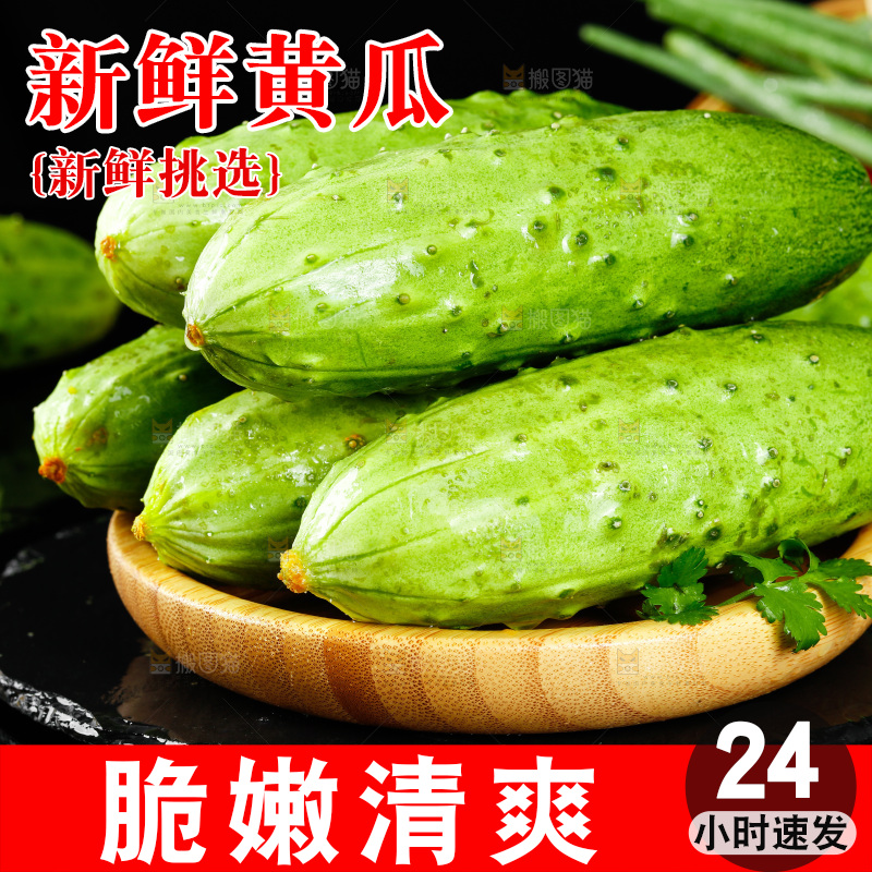 篮子里的黄瓜