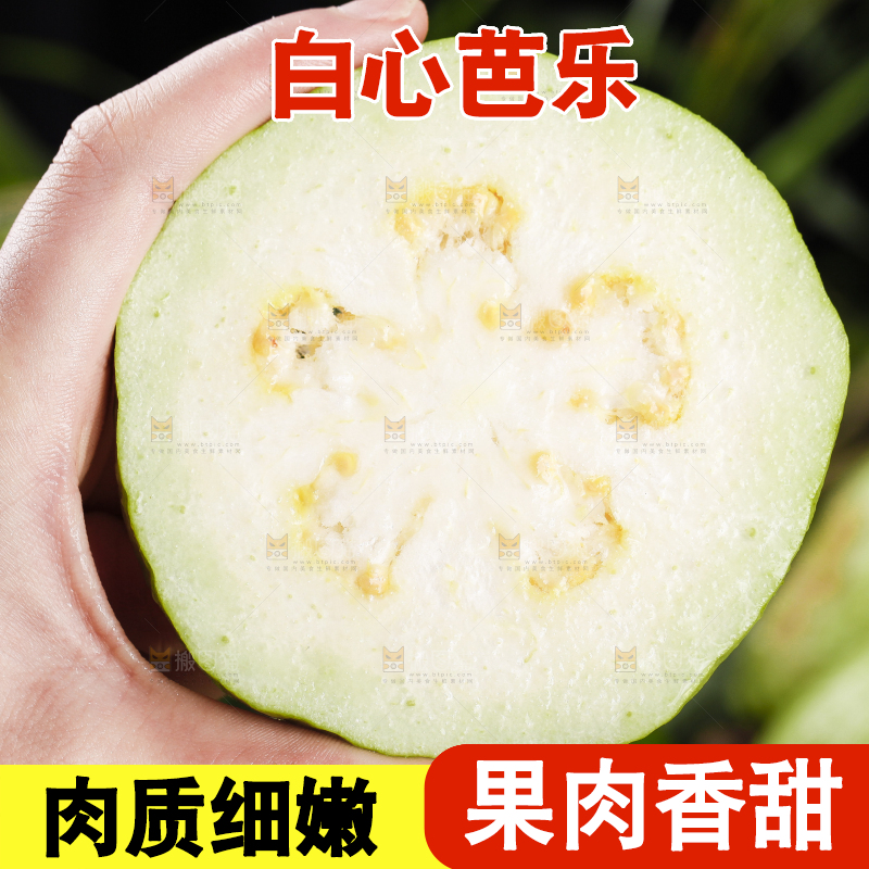 手里拿着白心芭乐