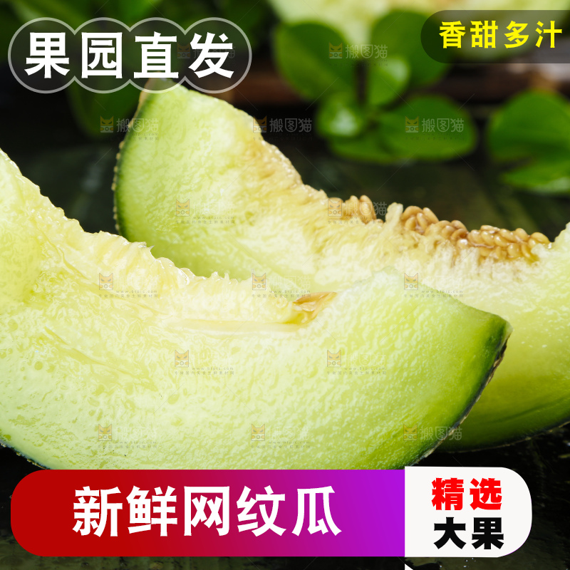 深底上放着切开的山东网纹蜜瓜