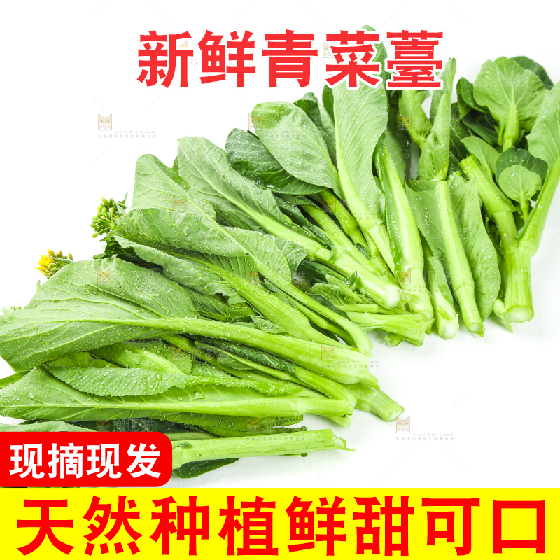 白底上的菜薹