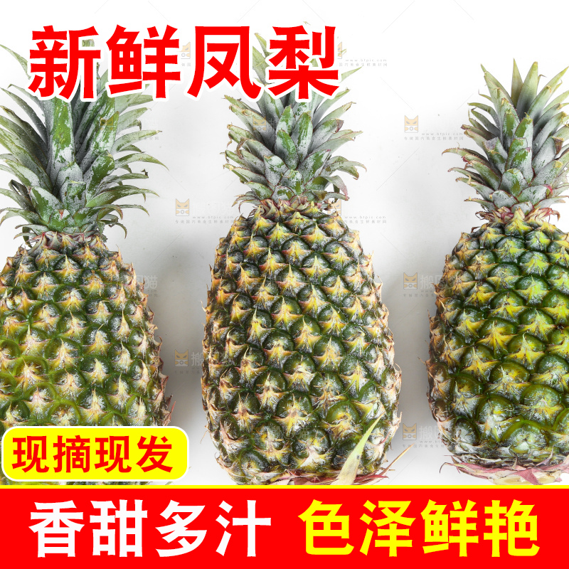 白底上的新鲜凤梨