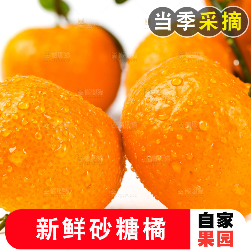 白底上放着砂糖橘