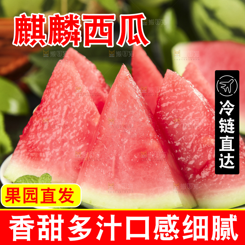 黑石板上放着海南麒麟西瓜