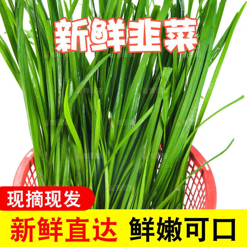 篮子里装着嫩韭菜