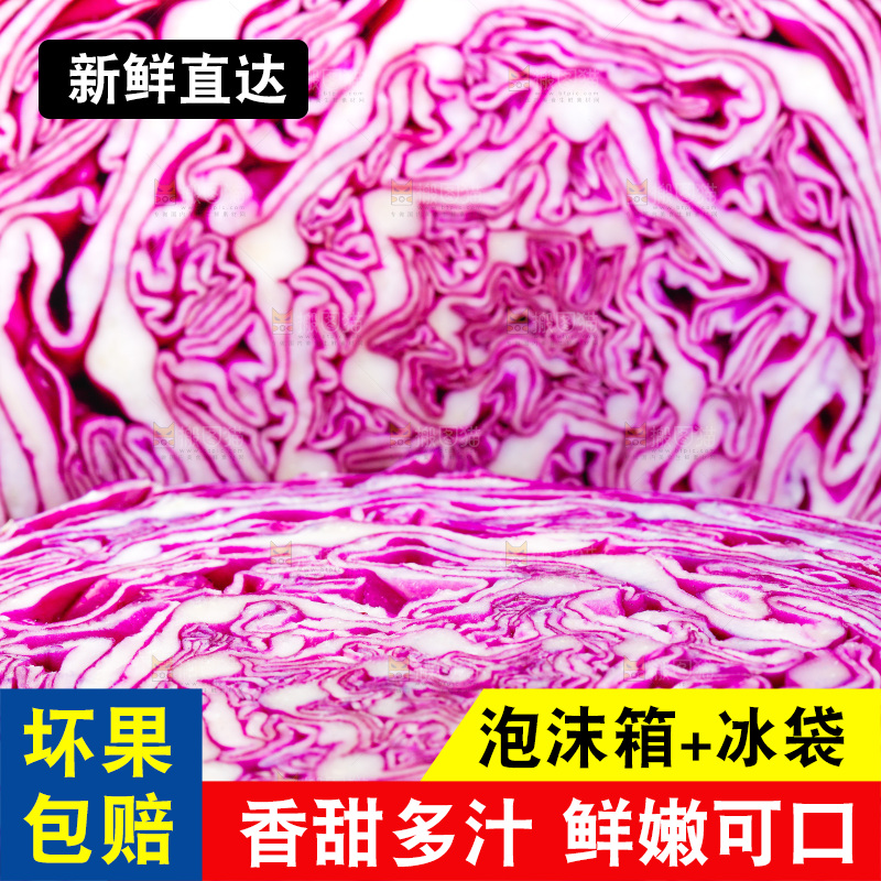 白底上放着甘蓝