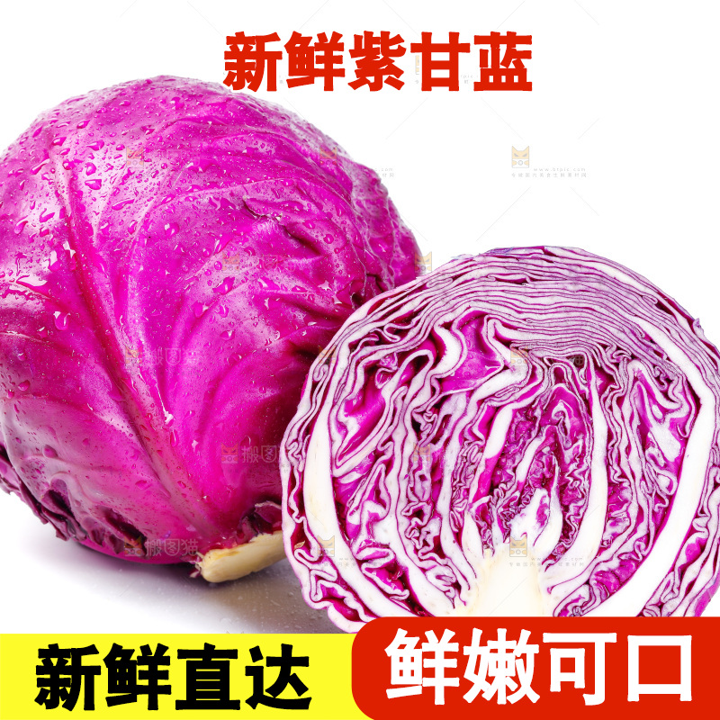 白底上放着新鲜紫甘蓝