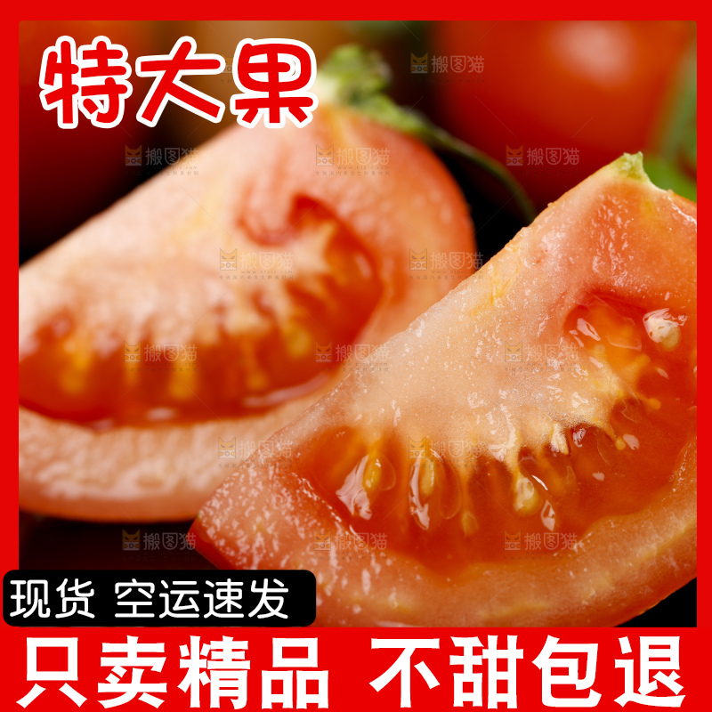 深底上摆放着番茄