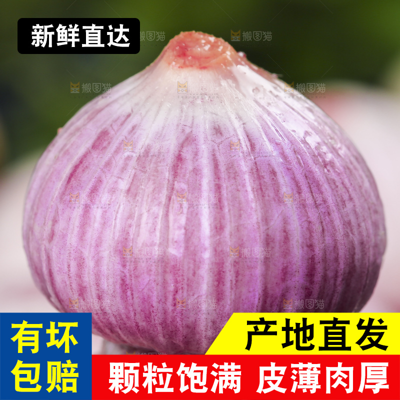 手拿独蒜头