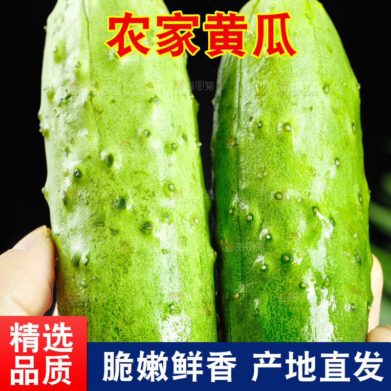 手里拿着黄瓜