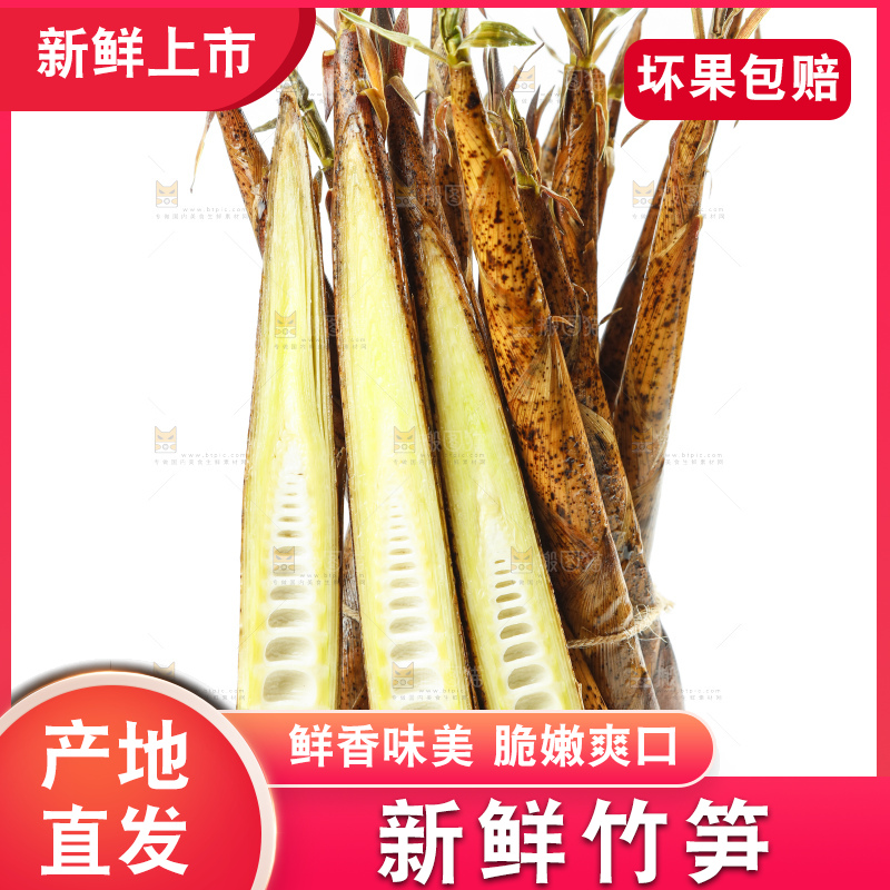 白底上绑着一捆切开的竹笋