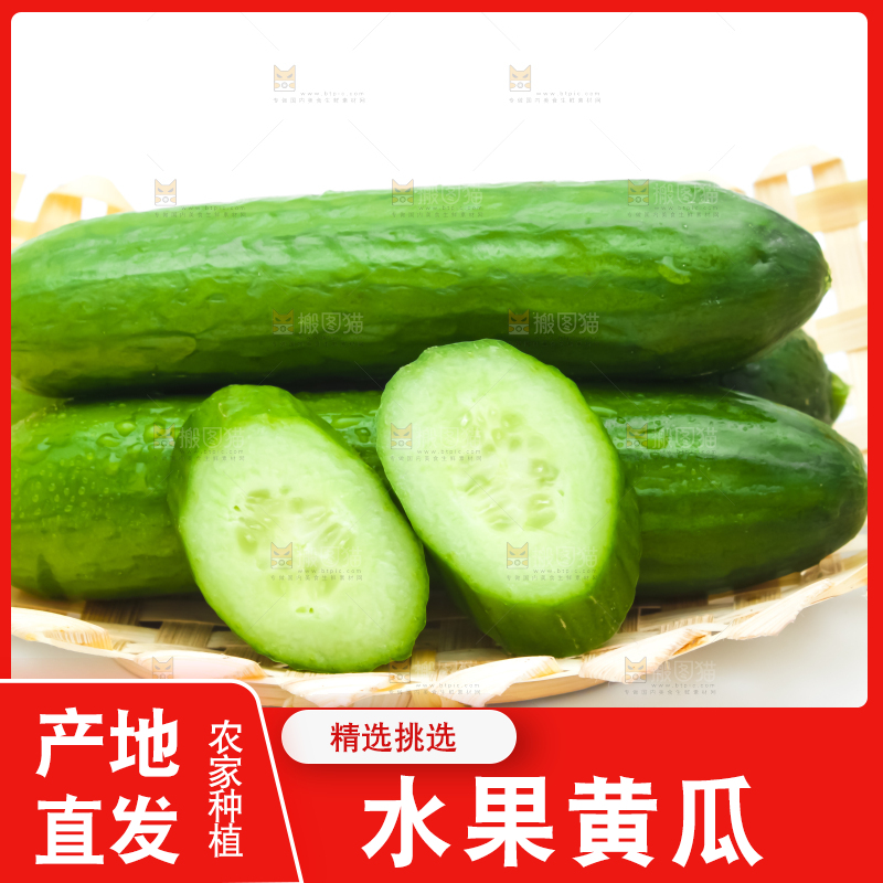 白底上放着山东水果小黄瓜