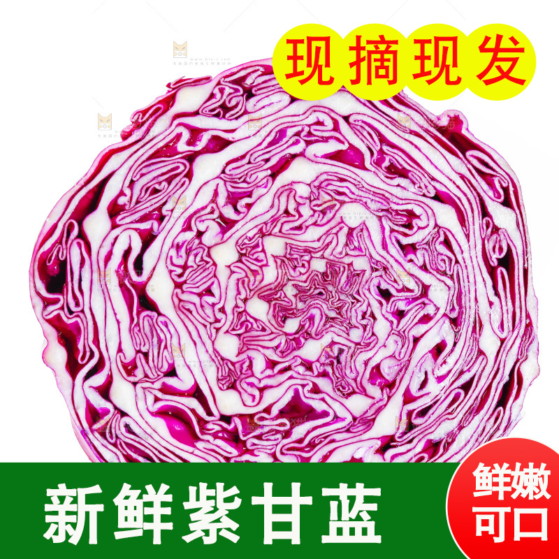 白底上放着甘蓝