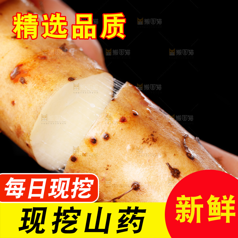 手里拿着小白嘴山药