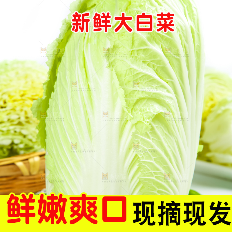 木底上放着大白菜