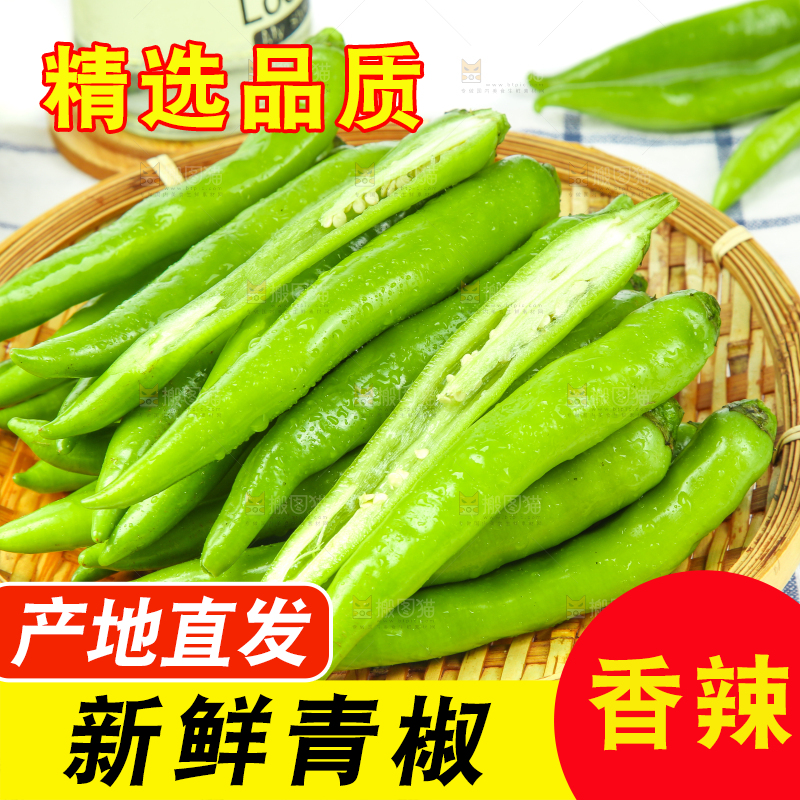 篮子里的新鲜杭椒