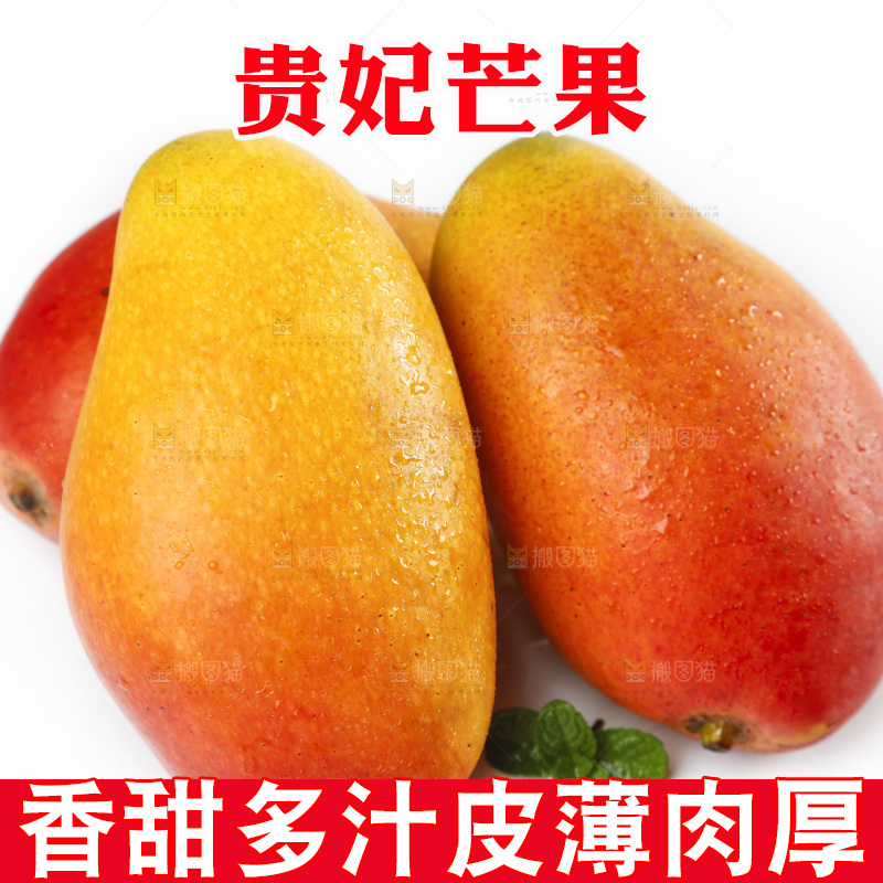 白底上放着新鲜的彩芒