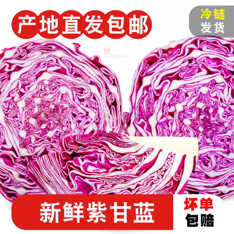 白底上放着甘蓝