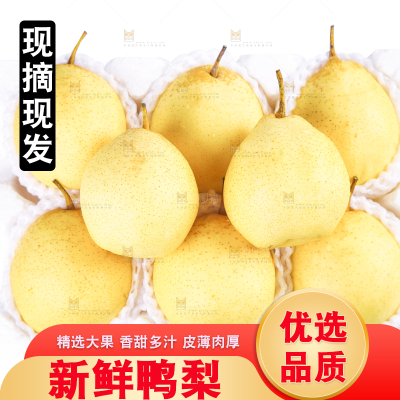 白底上摆放着鸭嘴梨