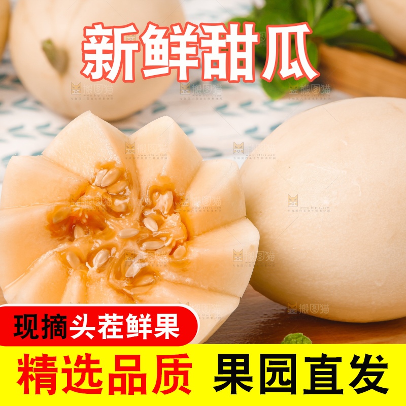 木底上放着新鲜的阎良蜜瓜