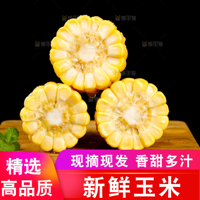 黑底上的玉米棒