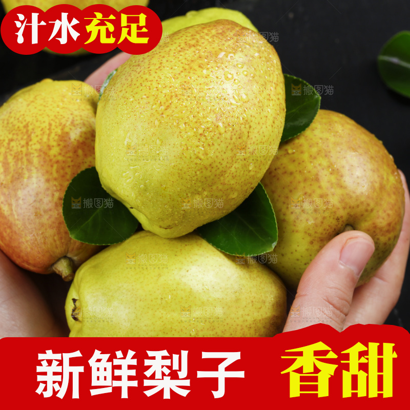 手拿新疆库尔勒香梨