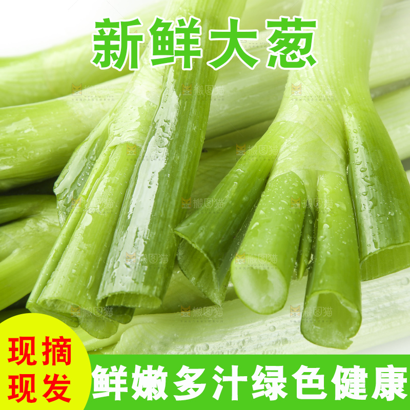 白底上放着一把大葱