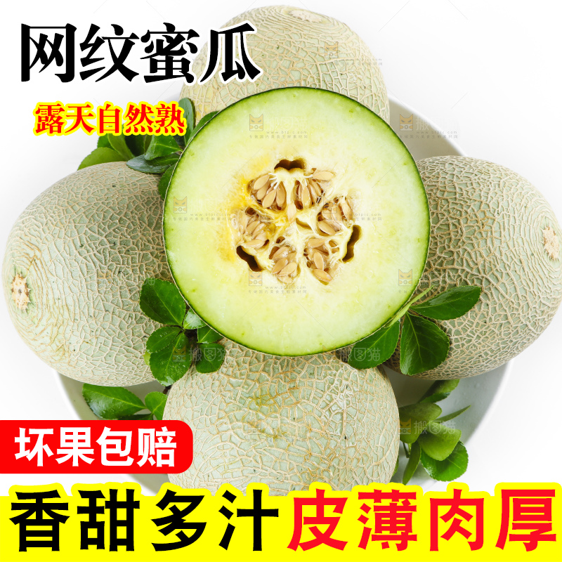 白底上放着新鲜网纹瓜