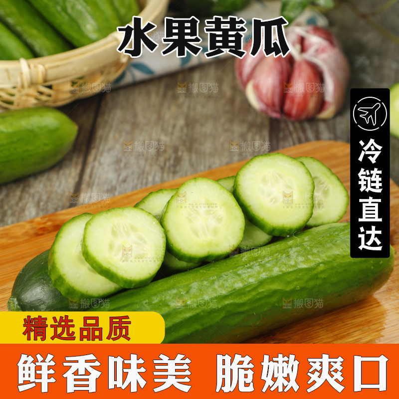 新鲜的山东水果黄瓜放在木板上