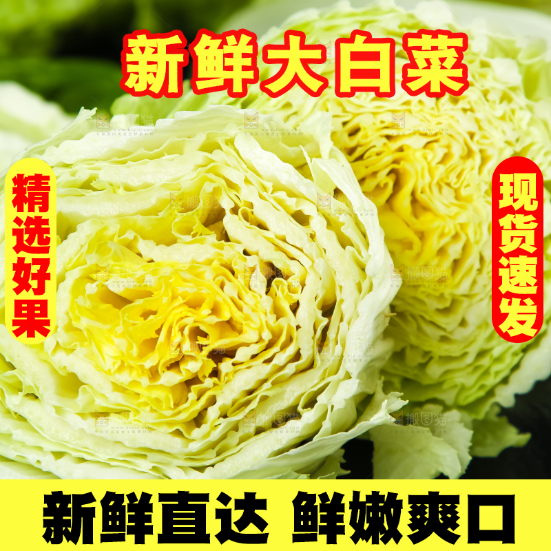 黑底上的有机大白菜