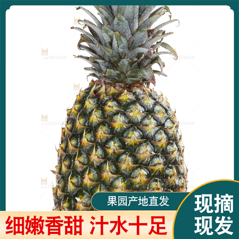 白底上的新鲜凤梨