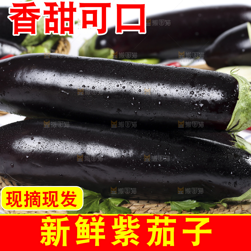 格子底上的新鲜长茄子