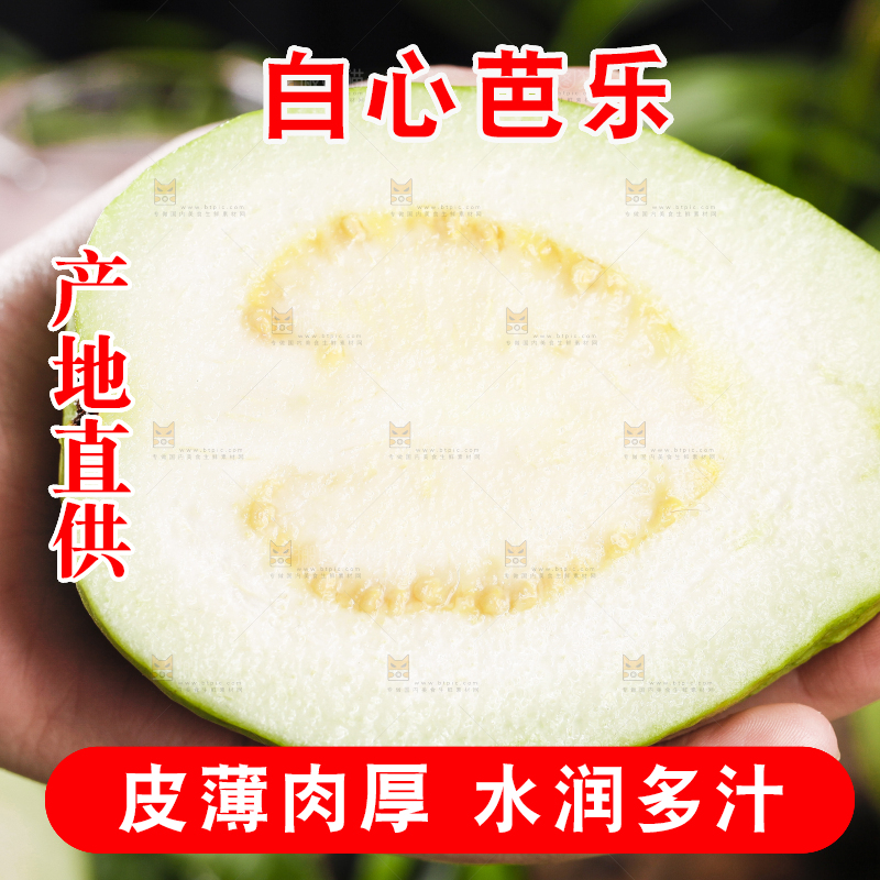 手里拿着广西白心芭乐