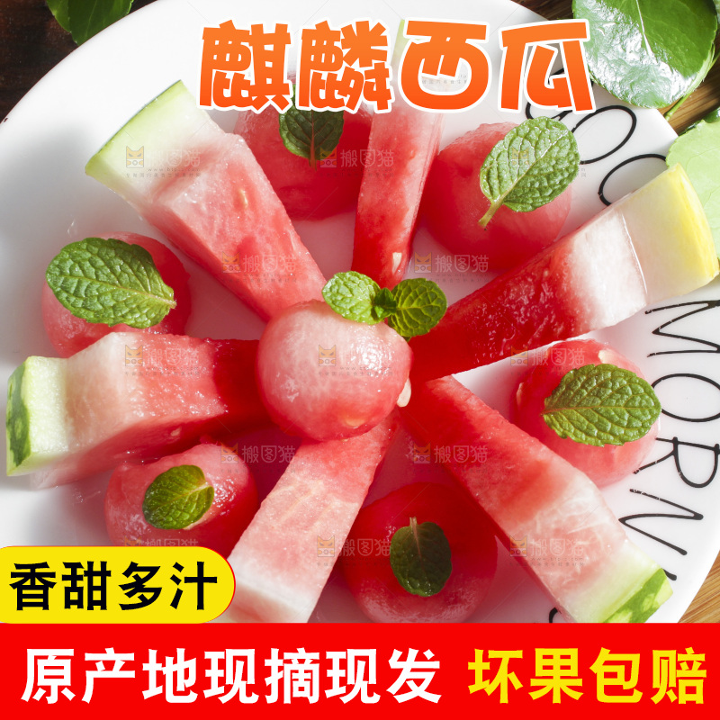 木底上放着新鲜麒麟西瓜