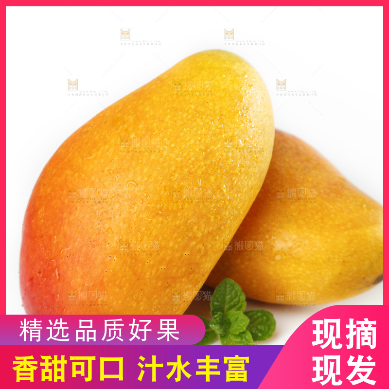 白底上放着新鲜的彩芒