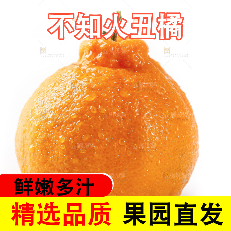 白底上的新鲜丑橘