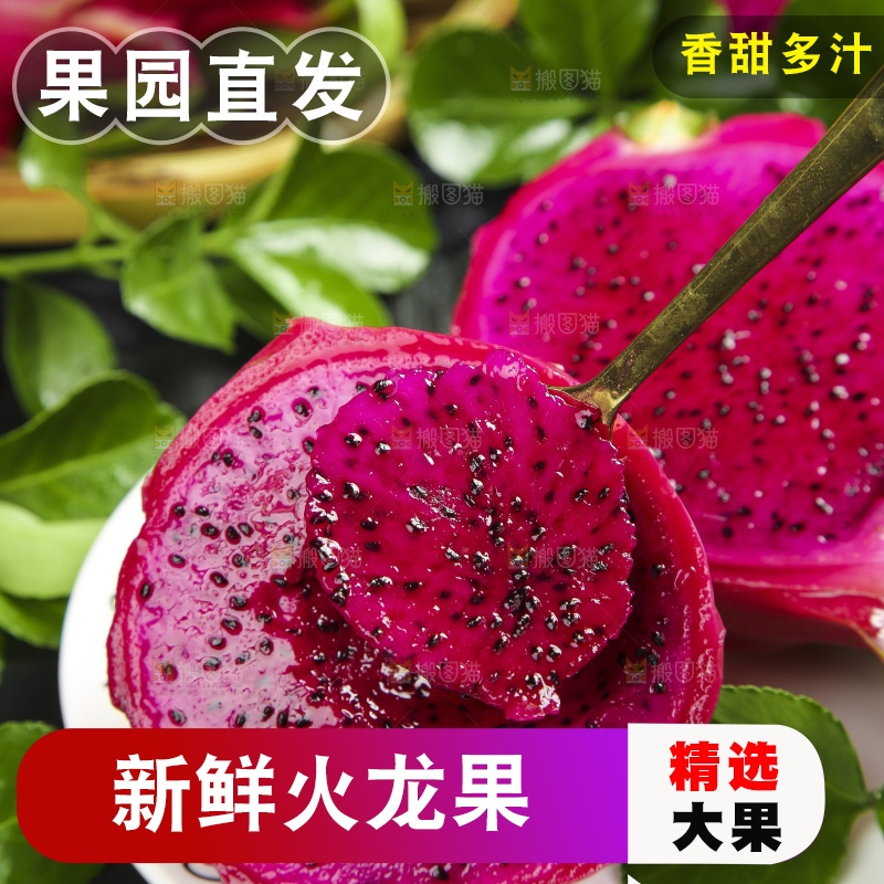 深底上放着新鲜火龙果