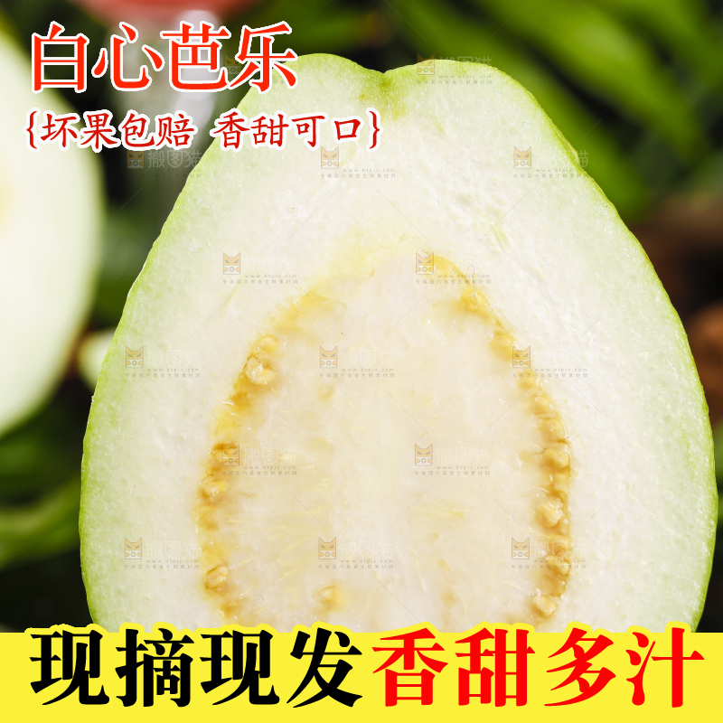 黑底上的白心芭乐