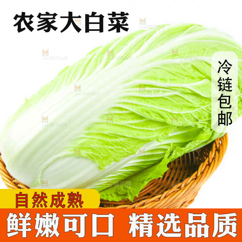 篮子上放着大白菜