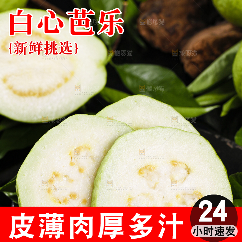 黑石底上放着白心芭乐
