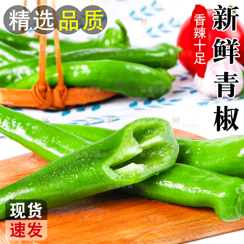 浅底上放着山东新鲜青椒