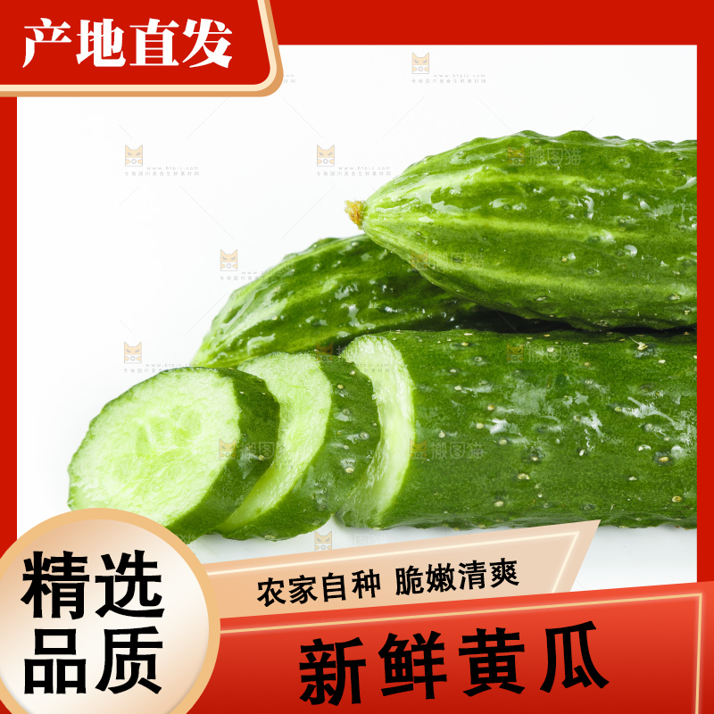 白底上的新鲜青瓜