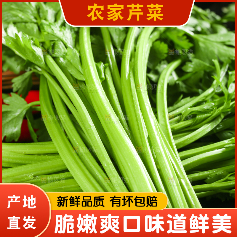黑底上放着小芹菜