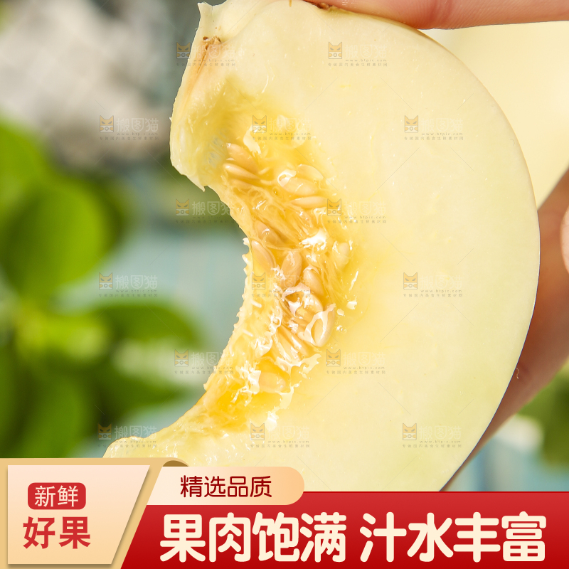 手里拿着切块的陕西阎良甜瓜
