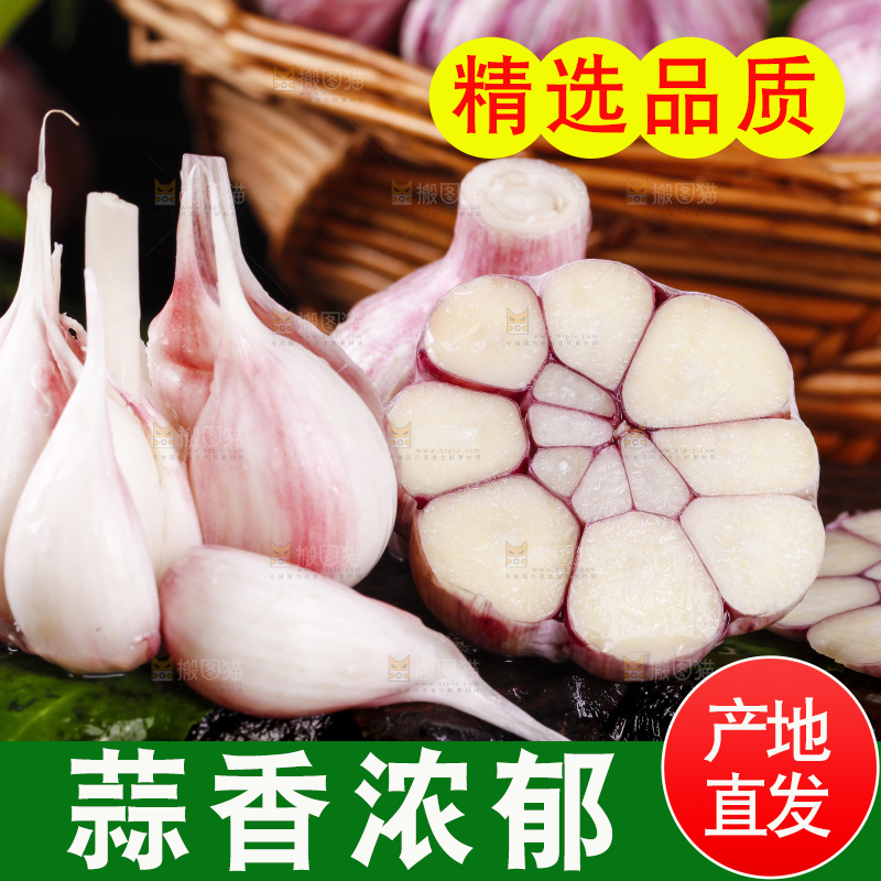石板上放着云南新鲜紫皮大蒜