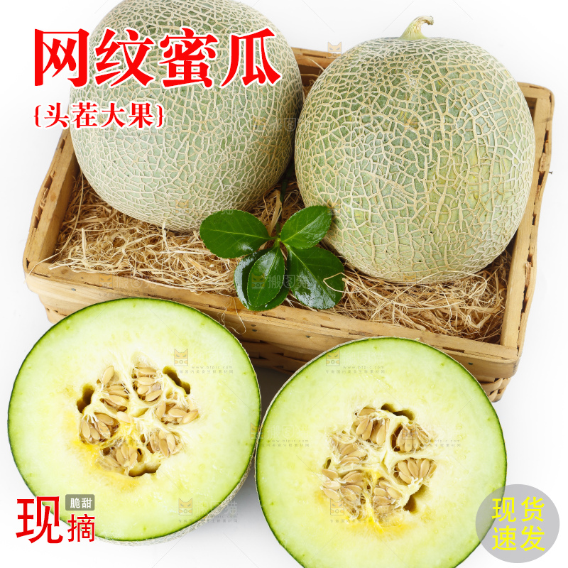 白底上放着新鲜网纹瓜