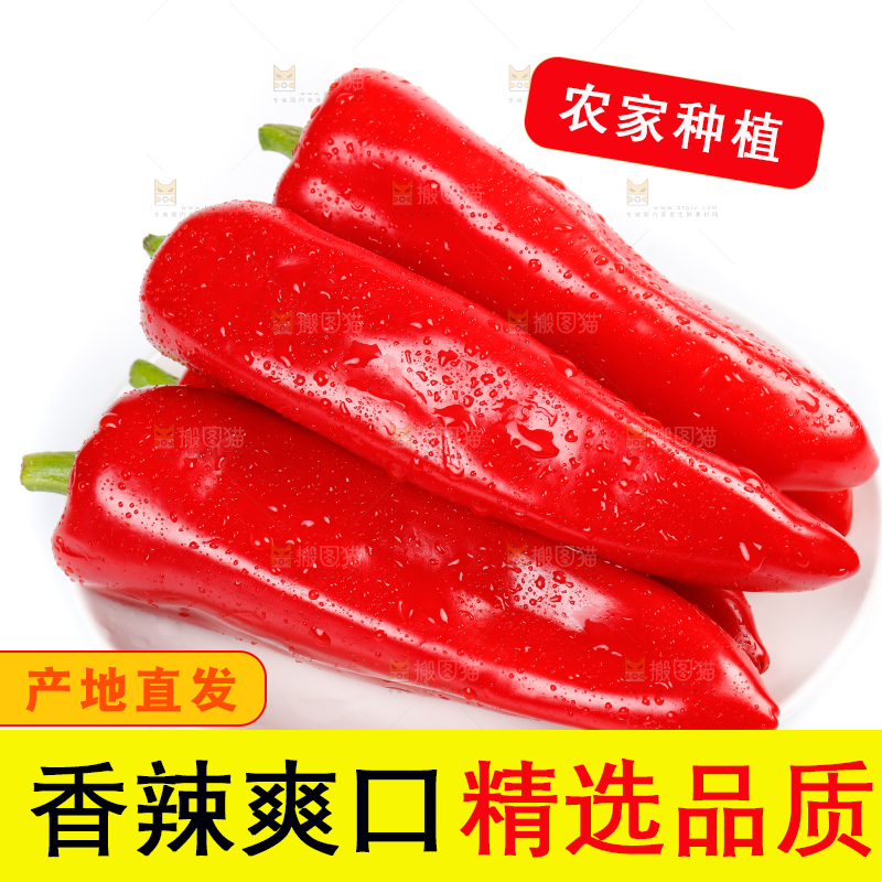 白底上的红甜椒