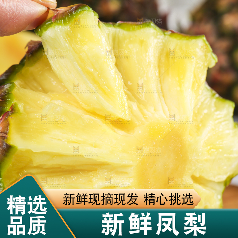 浅底上的手撕凤梨