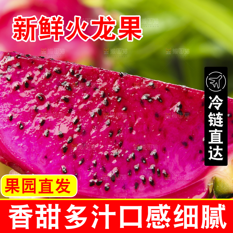手拿着切开的红心火龙果