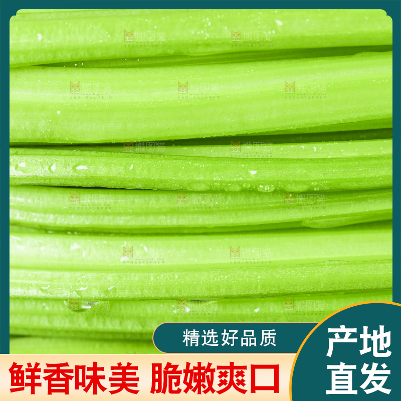 黑底上放着小芹菜